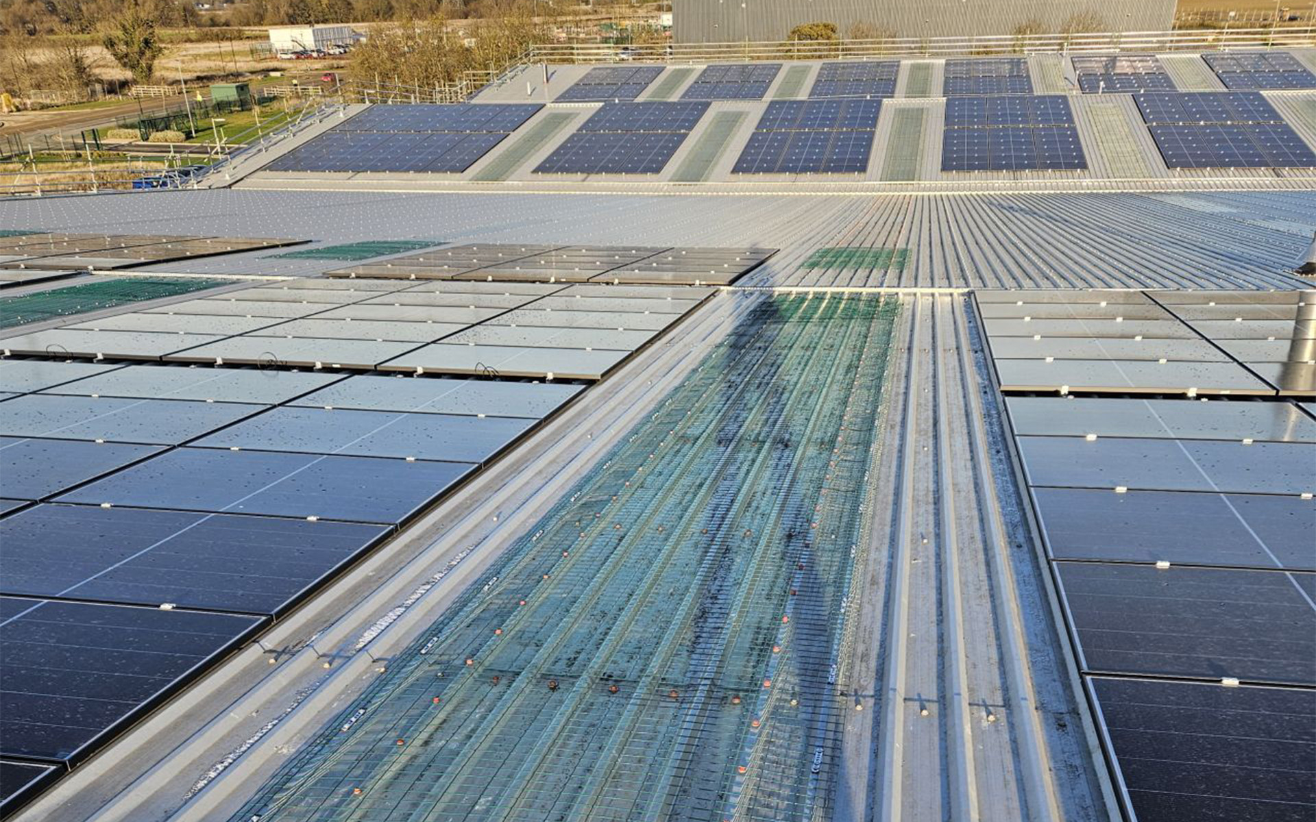 Skylight fall protection system integrated with photovoltaic installation on industrial metal roof 