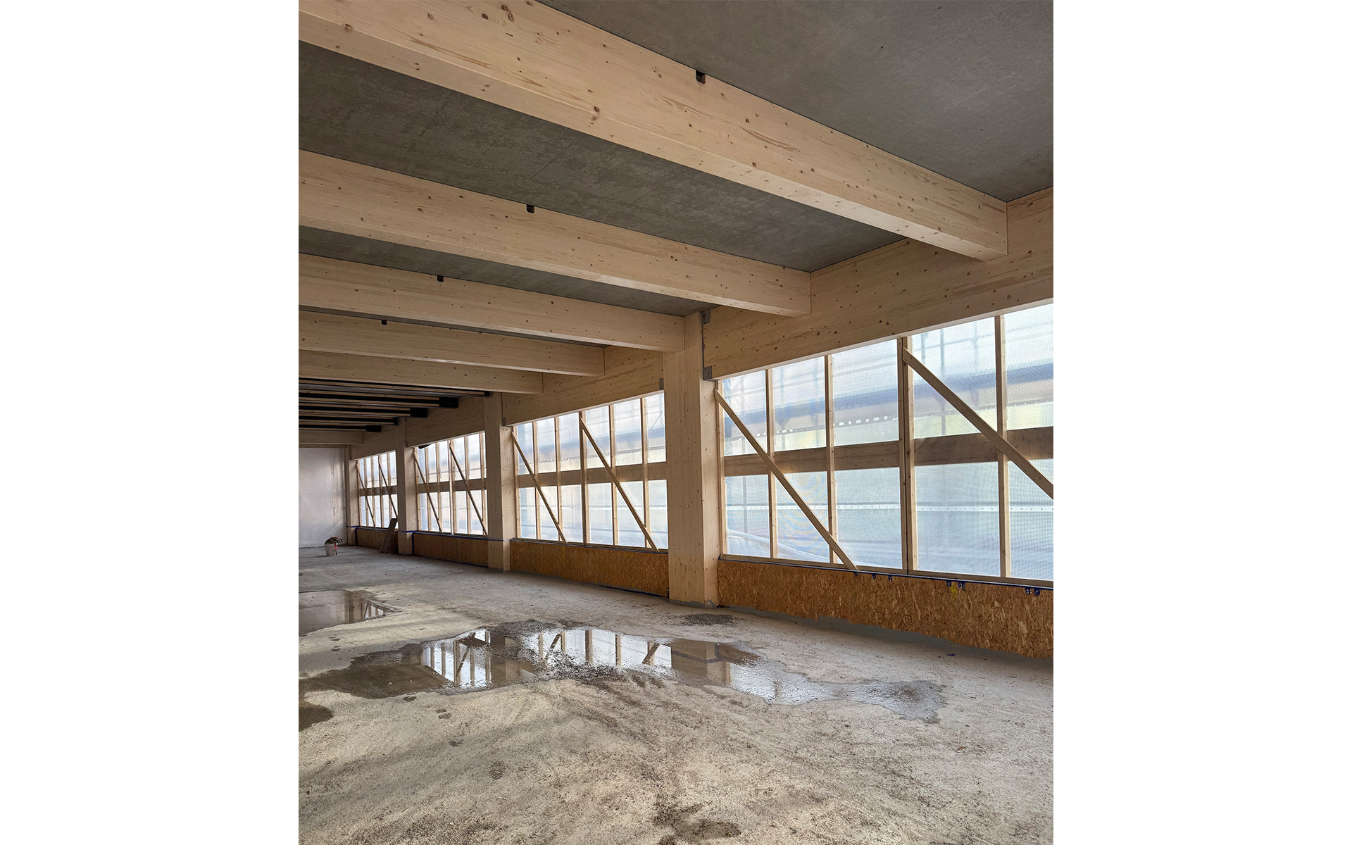 Engineered timber beams and columns in post and beam system with glulam structure and concrete slab in interior construction phase