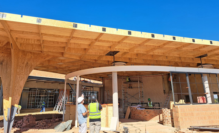 Screws for fibreboard panels and parametric roofs  