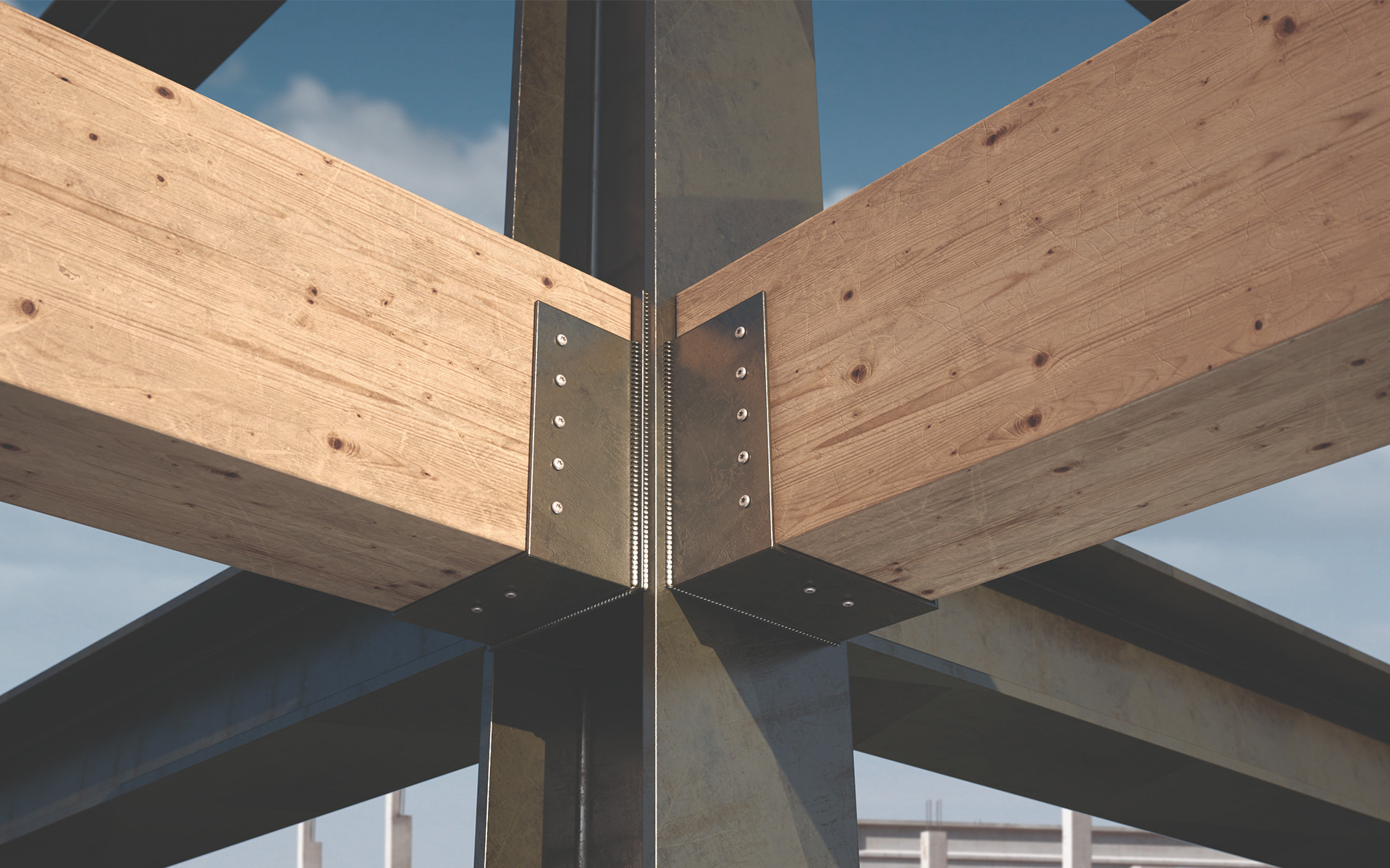 Viti per legno, connessione legno-METALLO